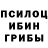 ГАШ hashish Gavin O'Leary
