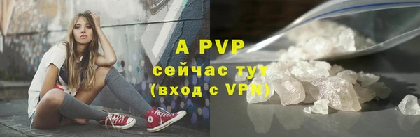 скорость Вяземский
