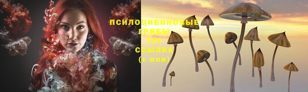 скорость Вяземский