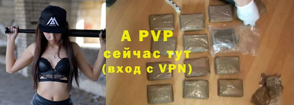 скорость Вяземский