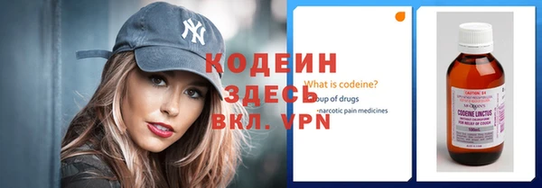 скорость Вяземский