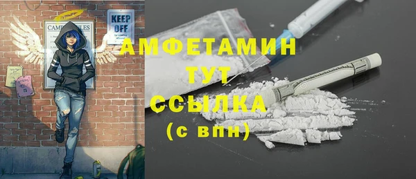 скорость Вяземский